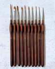 Set de 10 Pinceles