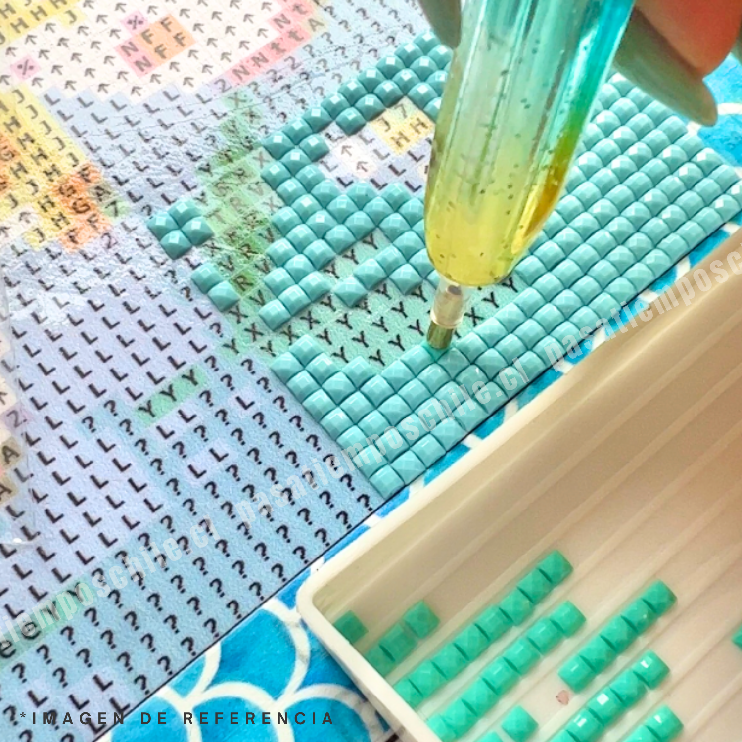 Catrina (Pintura Diamante)