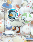 Pack de Stickers Pato (50 unidades)