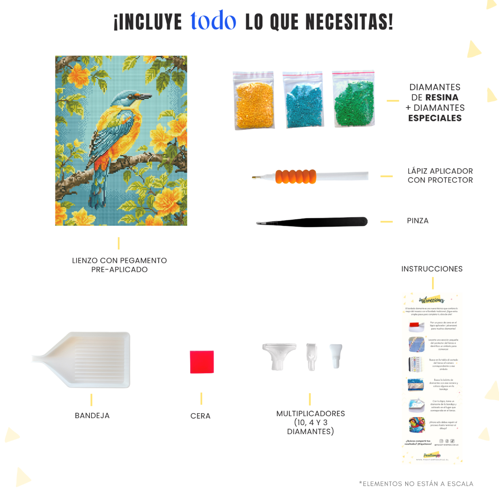 Pintura diamante Armonía del Ave – kit completo con lienzo, diamantes y herramientas.